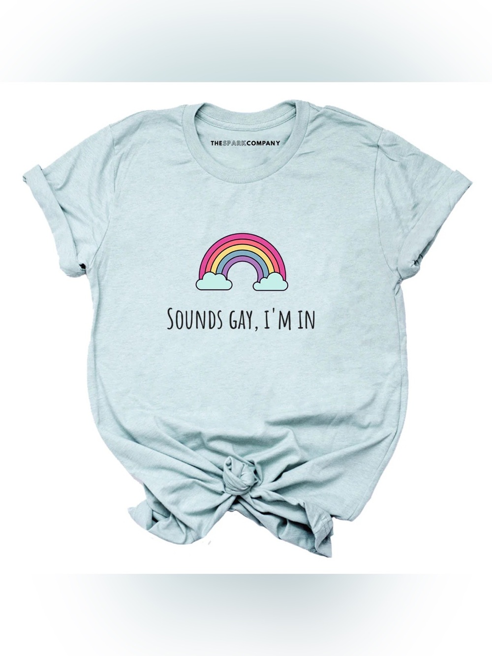 “Sounds Gay, I’m In” Rainbow Graphic Tee - Heathered Light Blue - Large - NWOT